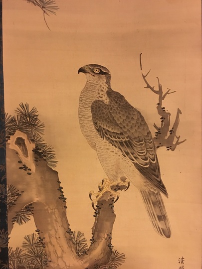古画 松上の鷹図 書き込みが素晴らしい。 G1 古画 松上の鷹図 書き込み
