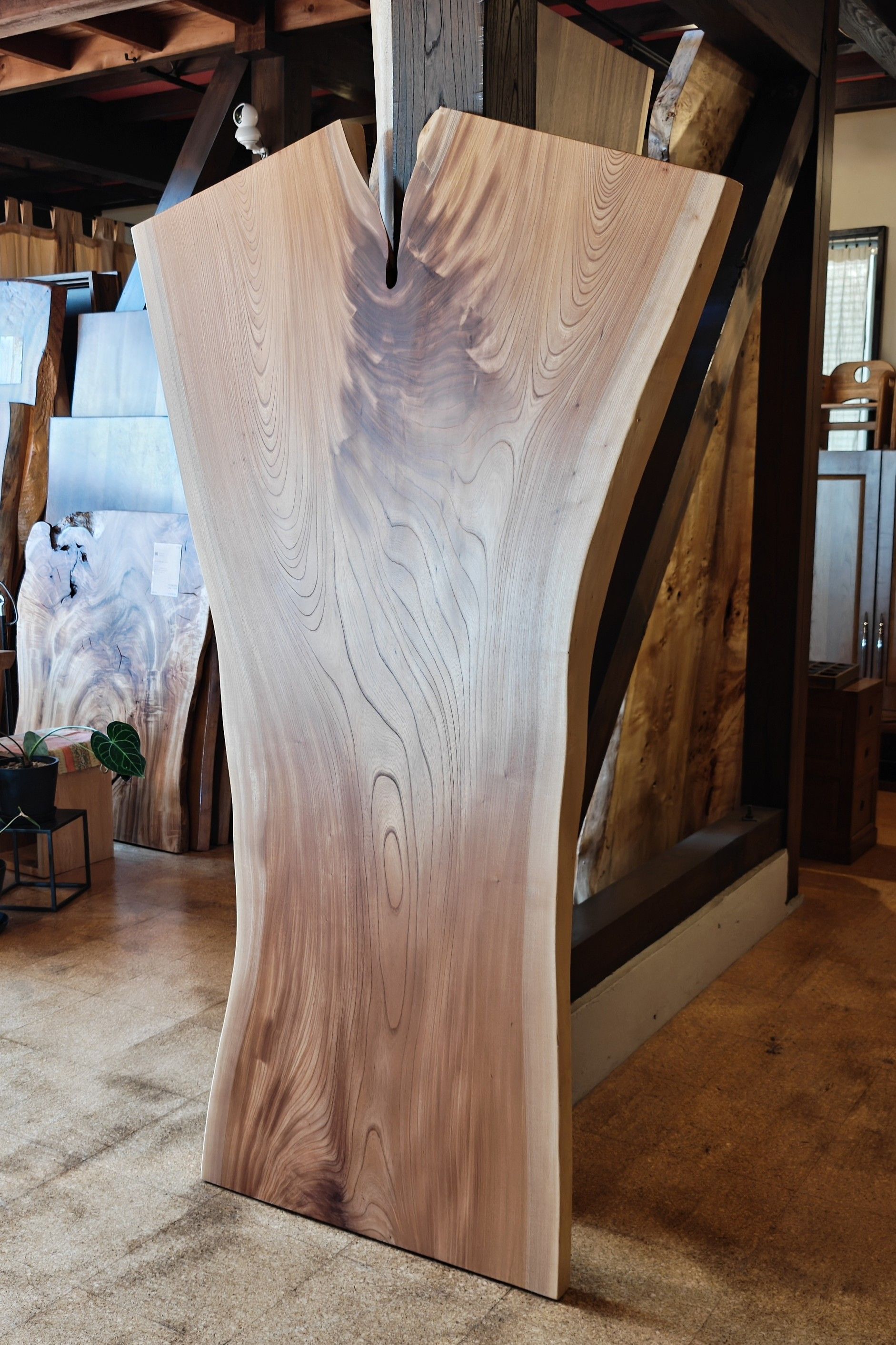 神奈川県 海老名店展示 一枚板 欅(けやき・ケヤキ)材 テーブル用天板