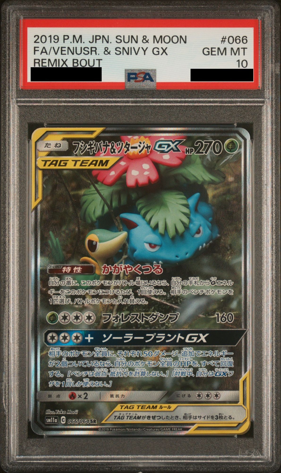 PSA10】 フシギバナ&ツタージャGX 《SA》 (SR) {066/064} [SM11a