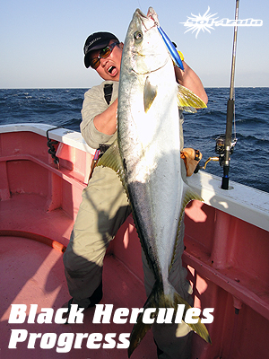 マングローブスタジオ　Black Hercules 7955S Mangrove Studio > Black Hercules /LMG