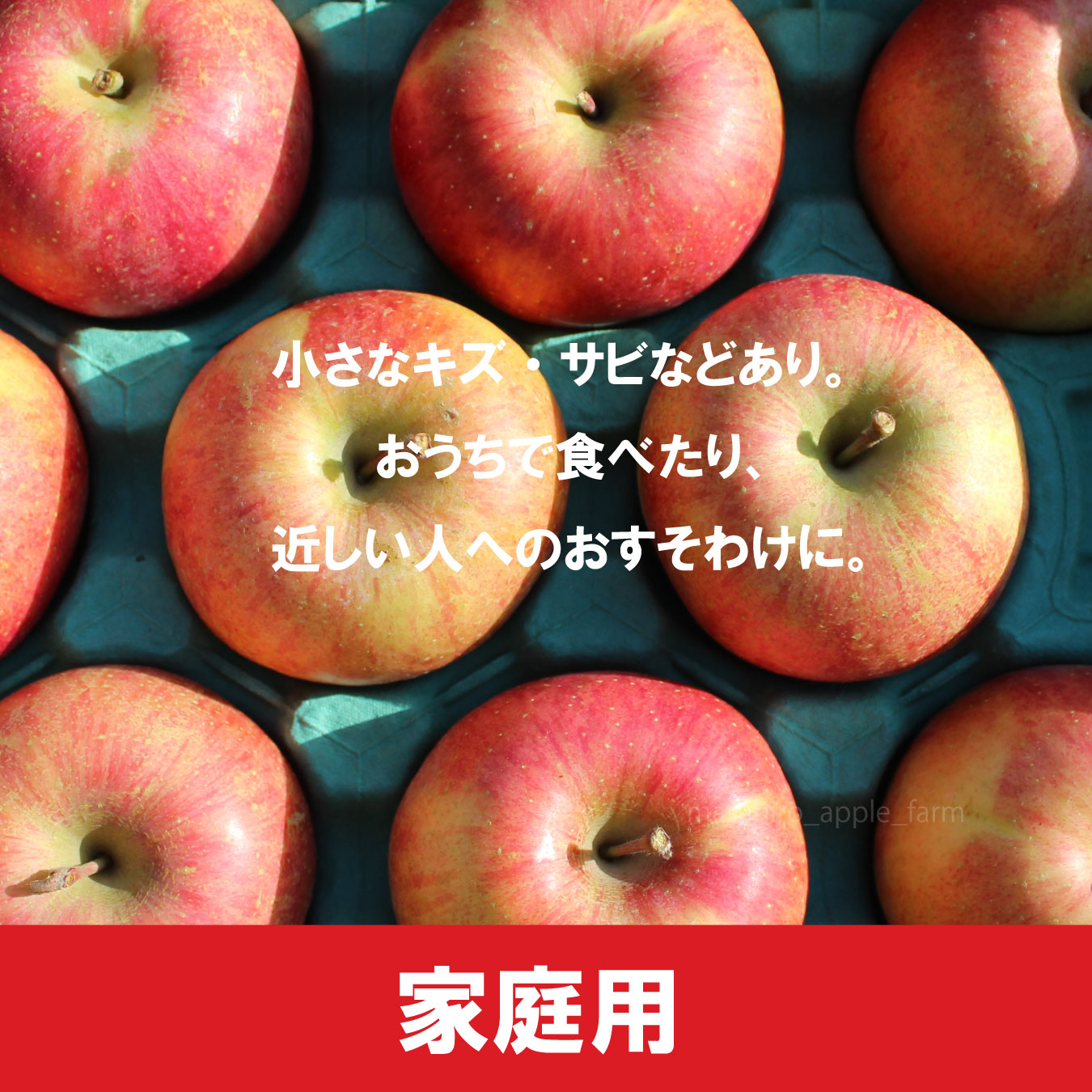 ニコイチセット【家庭用5kg】｜まさひろ林檎園