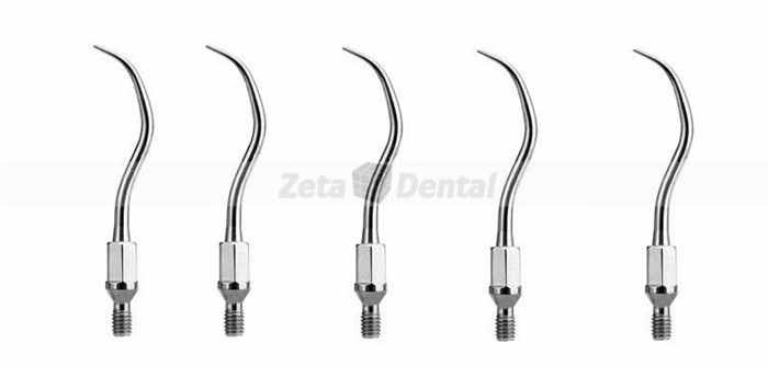 Woodpecker®超音波スケーラーチップGK1（Kavo向け、5本入）-Kavo向け