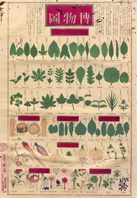 黎明期の植物学と牧野富太郎 | NDLギャラリー | 電子展示会