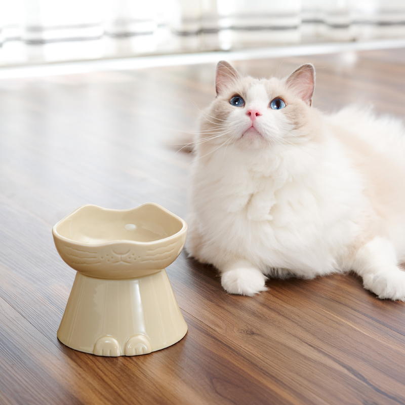 ネコセカイ 公式オンラインショップ / duo nnma(んーま) フードボウル