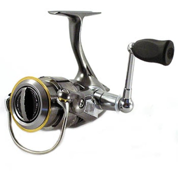 ダイワ(Daiwa) カルディアKIX 2506(浅溝タイプ) 00055418｜アウトドア