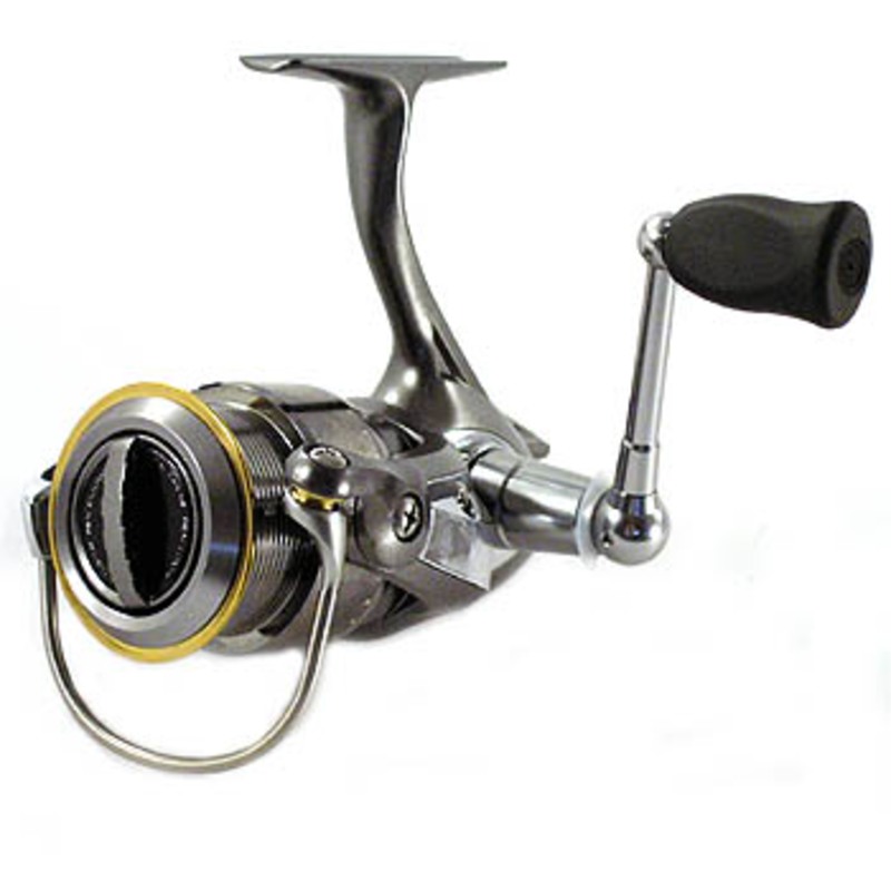 ダイワ(Daiwa) カルディアKIX 2506(浅溝タイプ) 00055418｜アウトドア