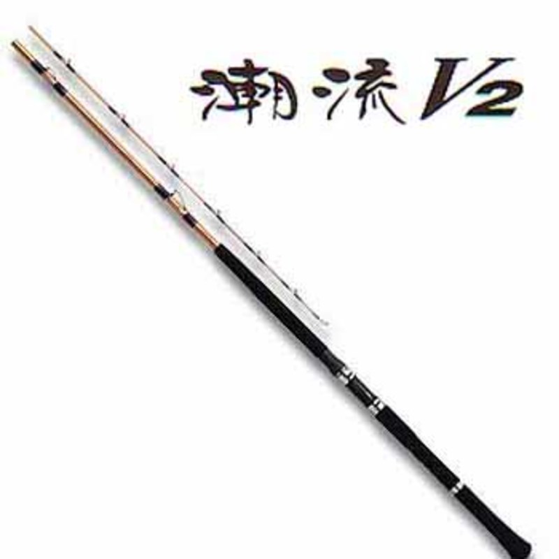ダイワ(Daiwa) 潮流V2 30-360 05288784｜アウトドア用品・釣り具通販は