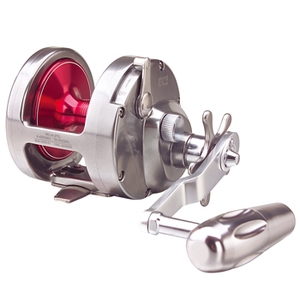 296_1.jpg?20090410140501