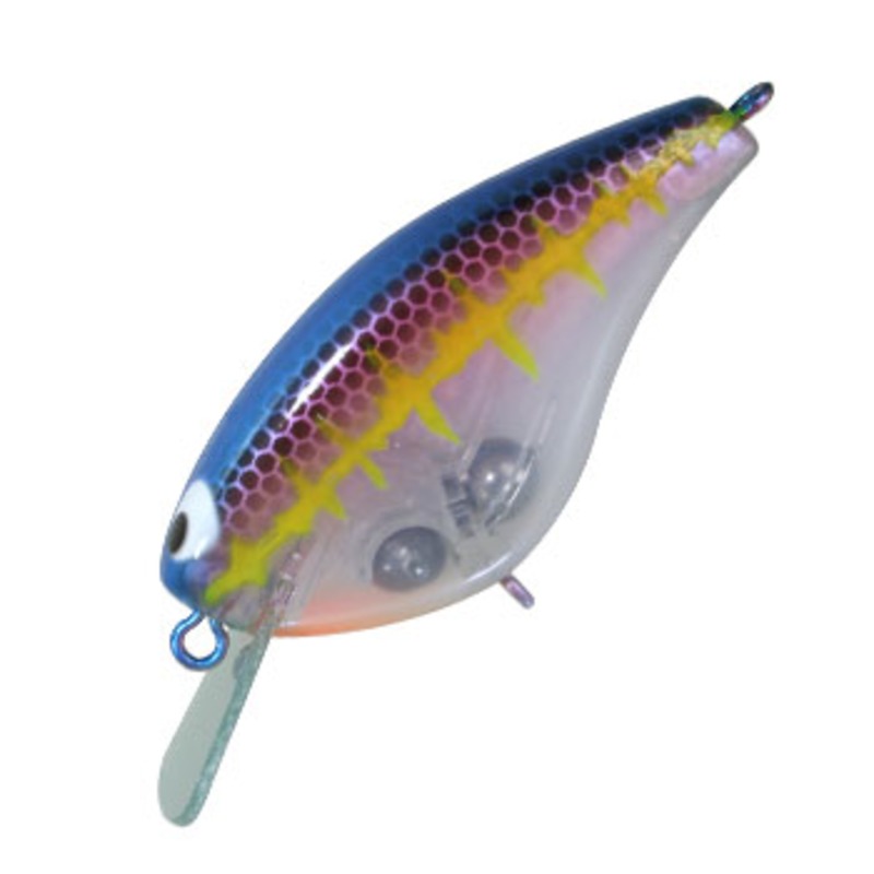 447_1_800.jpg?20091103104346