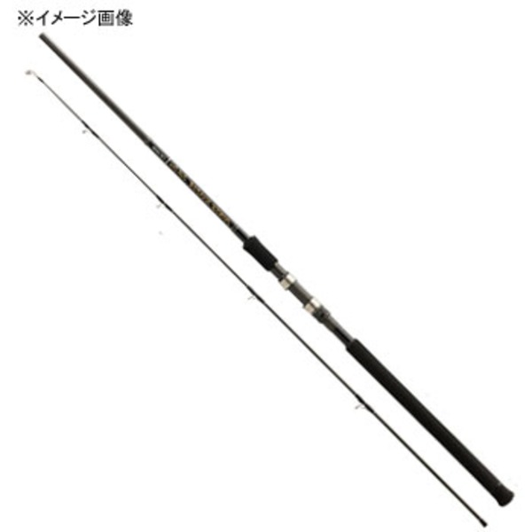 テンリュウ(天龍) パワー マスター ライトコア PML96MH ｜アウトドア