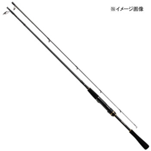 ダイワ(Daiwa) ソルティスト BS 66MLB 01474870｜アウトドア用品・釣り