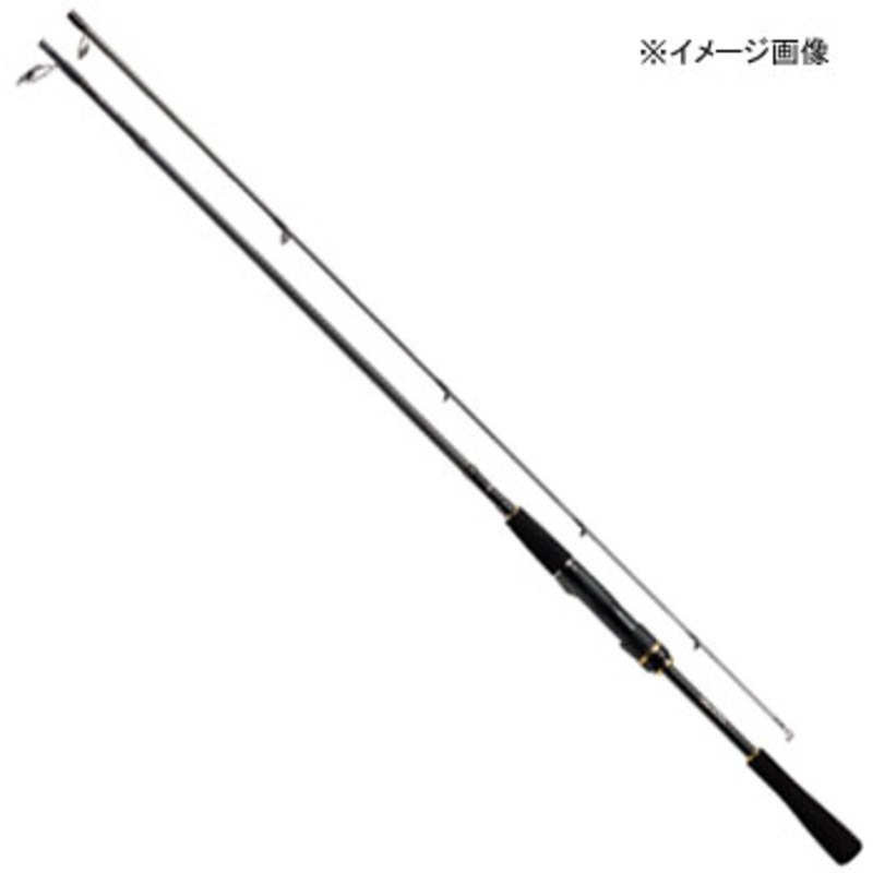 ダイワ(Daiwa) ソルティスト BS 66MLB 01474870｜アウトドア用品・釣り
