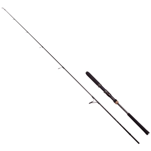 キャンプ＆フィッシングの付録:アブ オーシャンフィールド！エントリー