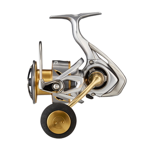 427_1.jpg?20210310173641