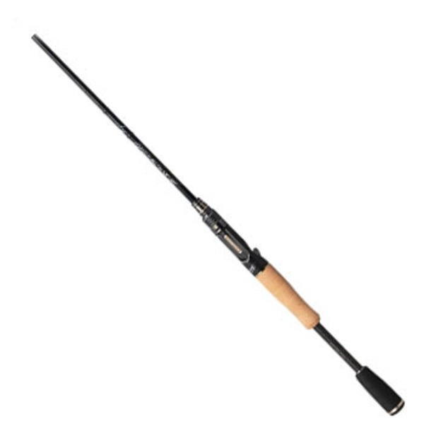 エバーグリーン(EVERGREEN) テムジン カレイド インスピラーレ TKIC