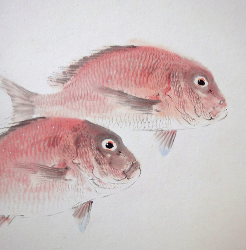 中村左洲 ほととぎすの図 中村左洲 ほととぎすの図 中村左洲