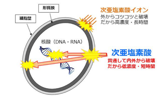 次亜塩素酸水」の生成装置のご紹介 -なんつね-
