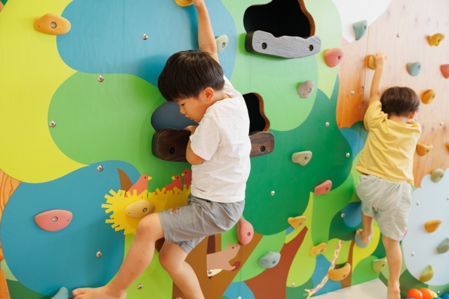 室内雲梯トレーニング｜自宅でできる効果的な筋トレ法