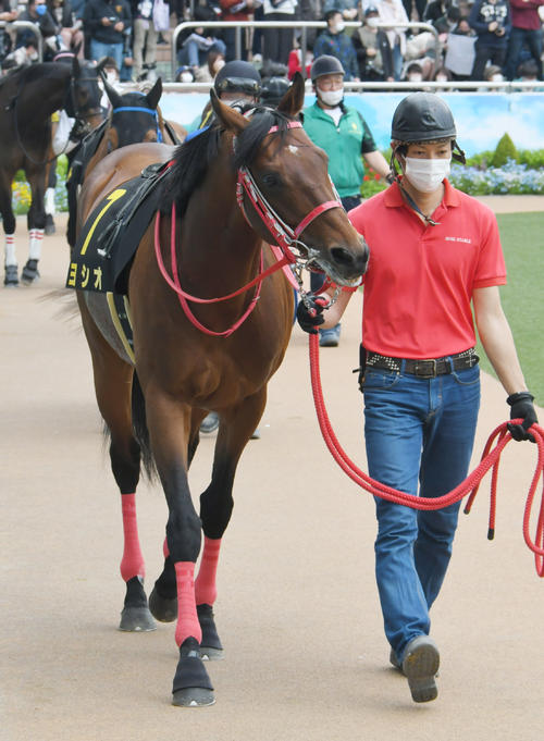 ヨシオ（福島競馬場誘導馬）デビュー戦現地馬券