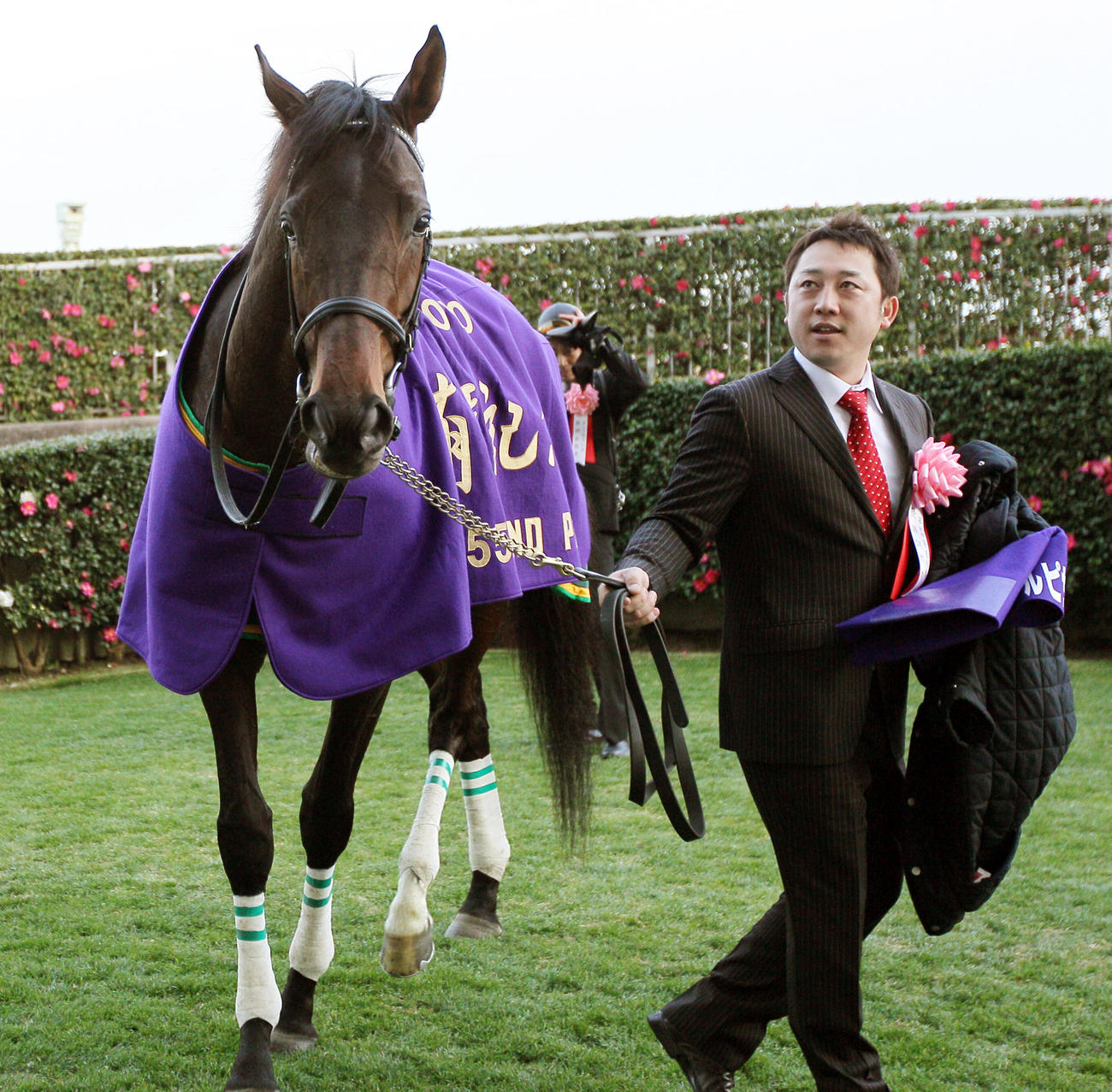 ヴィクトワールピサ初年度産駒”がトルコの3歳最強馬を決める