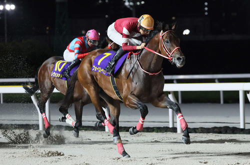フォーエバーヤングと坂井瑠星騎手が完勝！次走米国のBCクラシックで