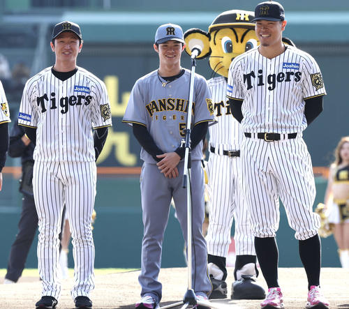 阪神タイガース 佐藤輝明 レプリカユニフォーム Familyday限定 Mサイズ