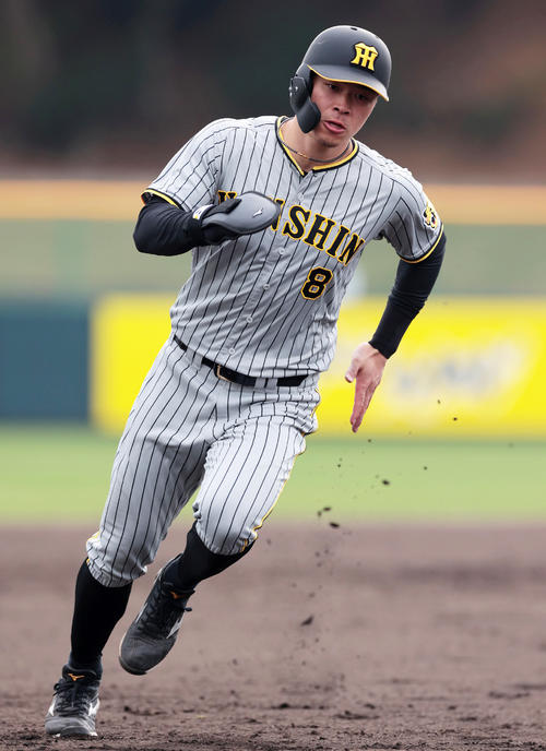 阪神がパドレス風の今季ビジターユニをお披露目 佐藤輝明はクラシック