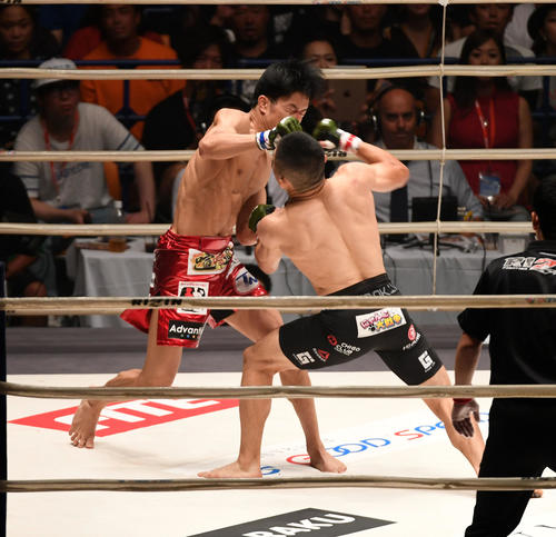 アウトサイダー朝倉海、ダイナマイトに学び堀口KO - 格闘技 : 日刊