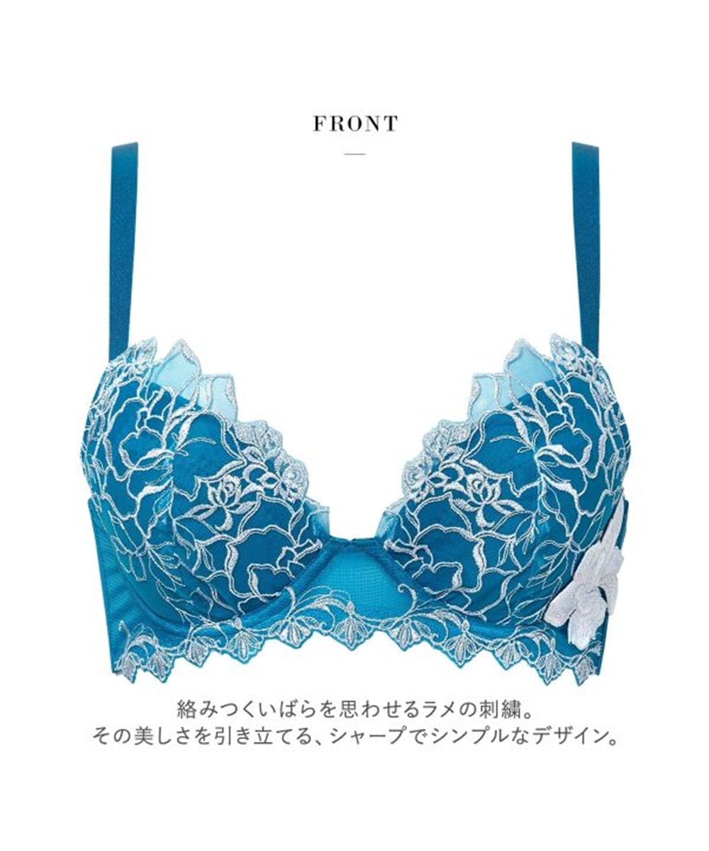 ワコール サルート 17グループ 17G リアルアップブラ ブラジャー BC