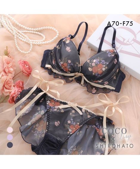 E65/M ブラショーツセット 通販【ニッセン公式】