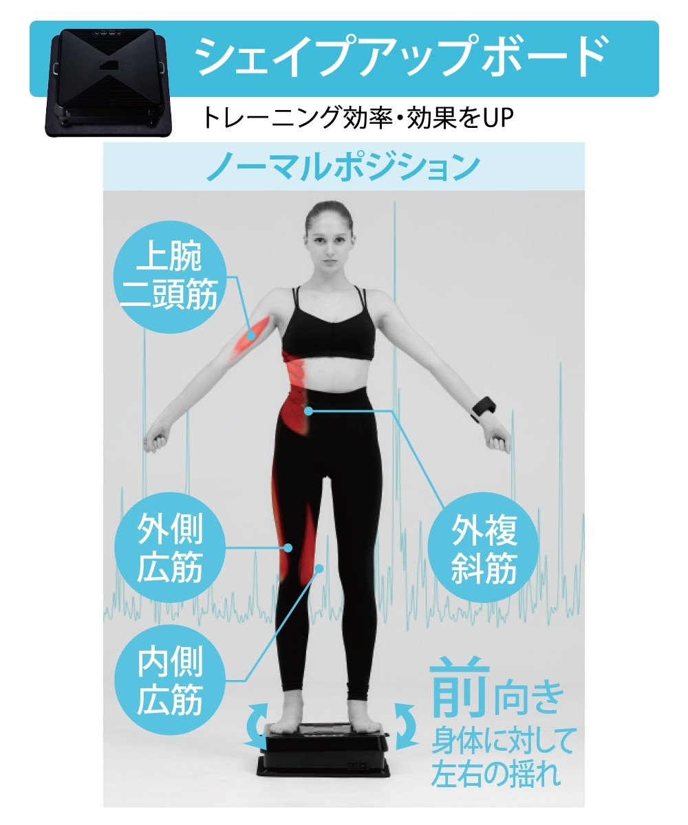 ルルドスタイル EMSシートプラス＋ルルド シェイプアップボードセット