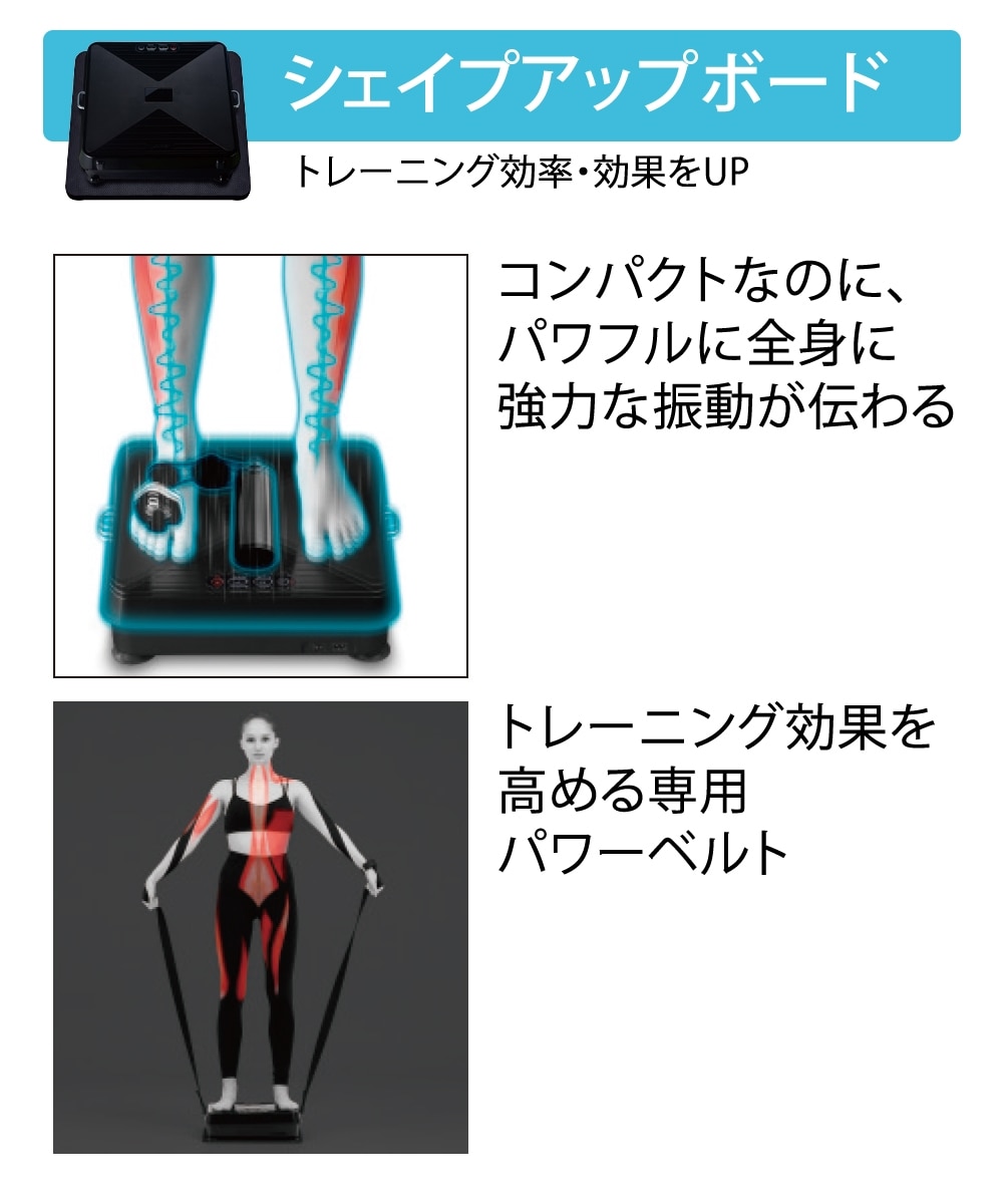 ルルドスタイル EMSシートプラス＋ルルド シェイプアップボードセット