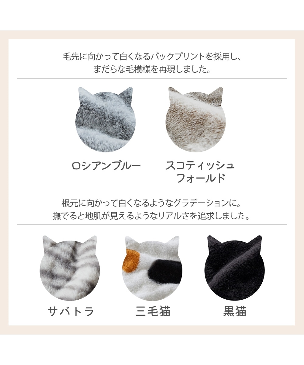 まるで猫！のようなモフモフブランケット（吸湿発熱わた入り）（猫Feel