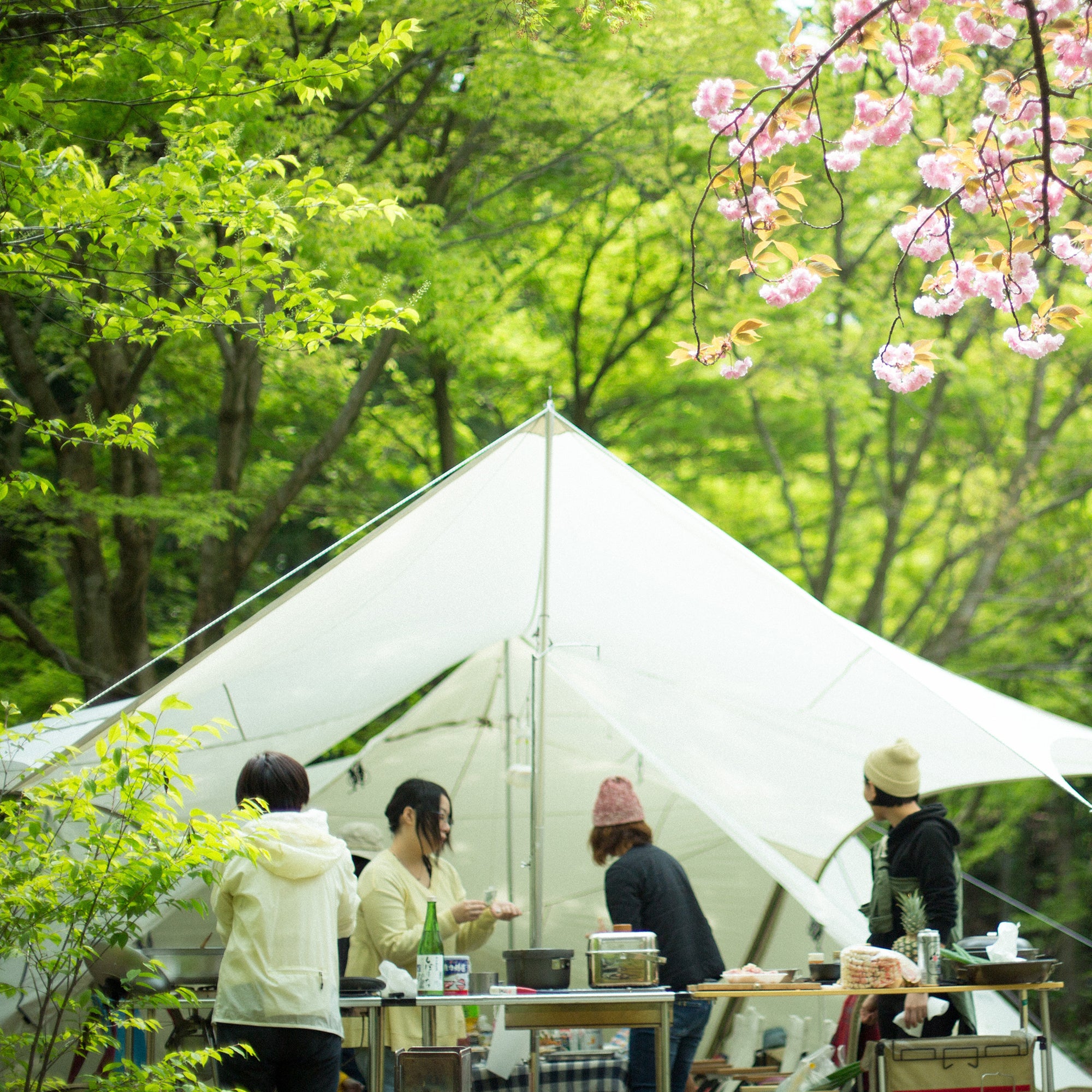 Snow Peak Heavy Duty Tarp Hexa Evo Pro. in Ivory – Snow Peak