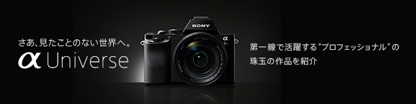 α65 | デジタル一眼カメラα（アルファ） | ソニー