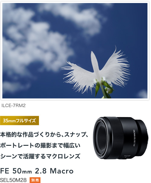 α6000 特長 : いつでもどこでも、大きくぼけて色鮮やか | デジタル一眼