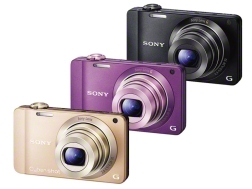 SONYソニー サイバーショット DSC-WX10 ゴールド 充電コード付 SONY