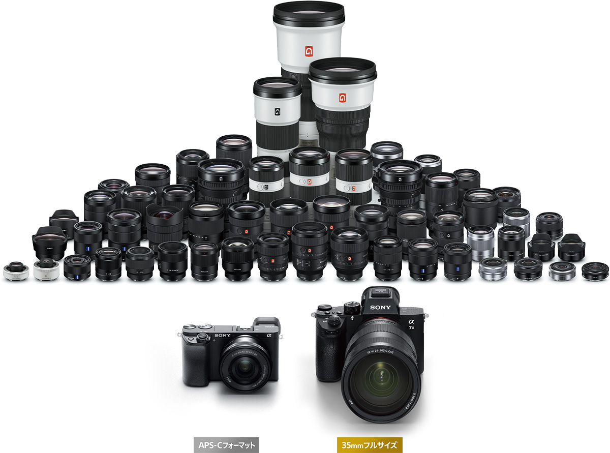 α6100 特長 : さらに進化した描写性能 | デジタル一眼カメラα