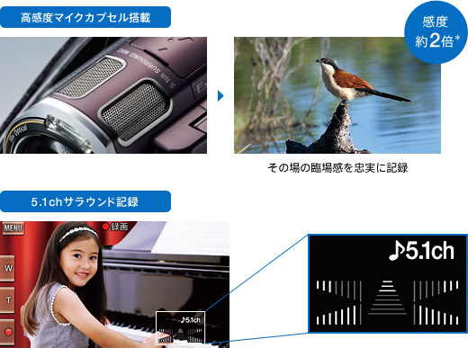 HDR-CX560V 特長 : 高音質技術 | デジタルビデオカメラ Handycam