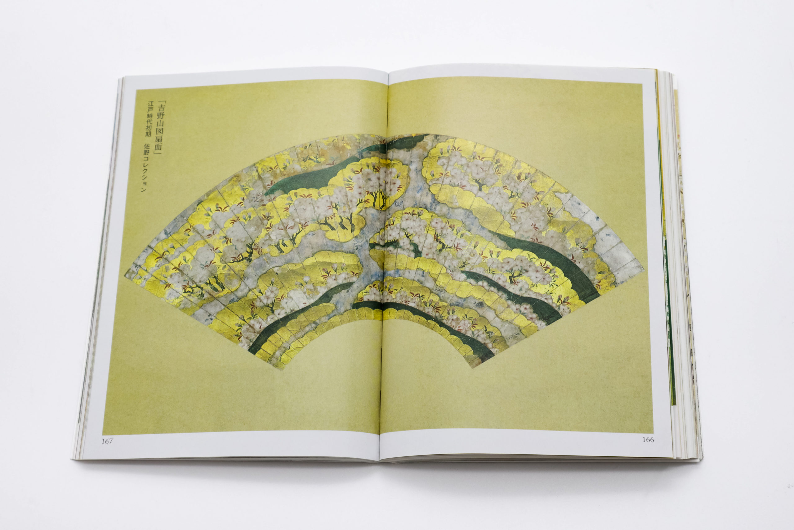 桜さくら｜青幻舎 SEIGENSHA Art Publishing, Inc.