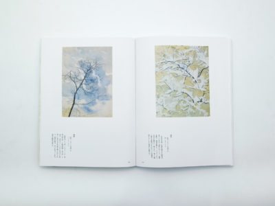 笠岡市立竹喬美術館名品集 うつりゆく自然を描く 小野竹喬の世界｜青幻