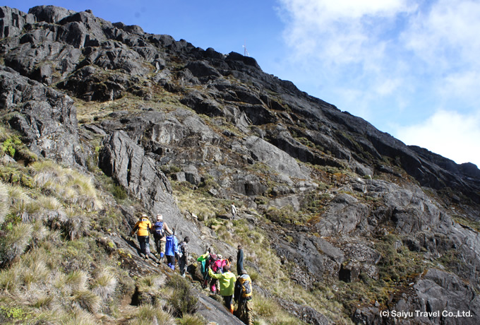 パプアニューギニア最高峰 ウィルヘルム山登頂とゴロカ滞在｜西遊旅行
