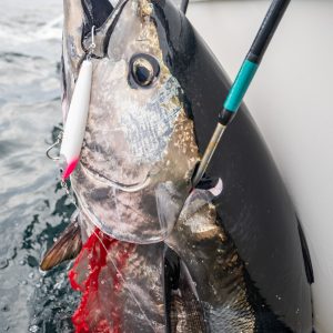 CB One Gilla 190 - Saltywater Tackle Inc.