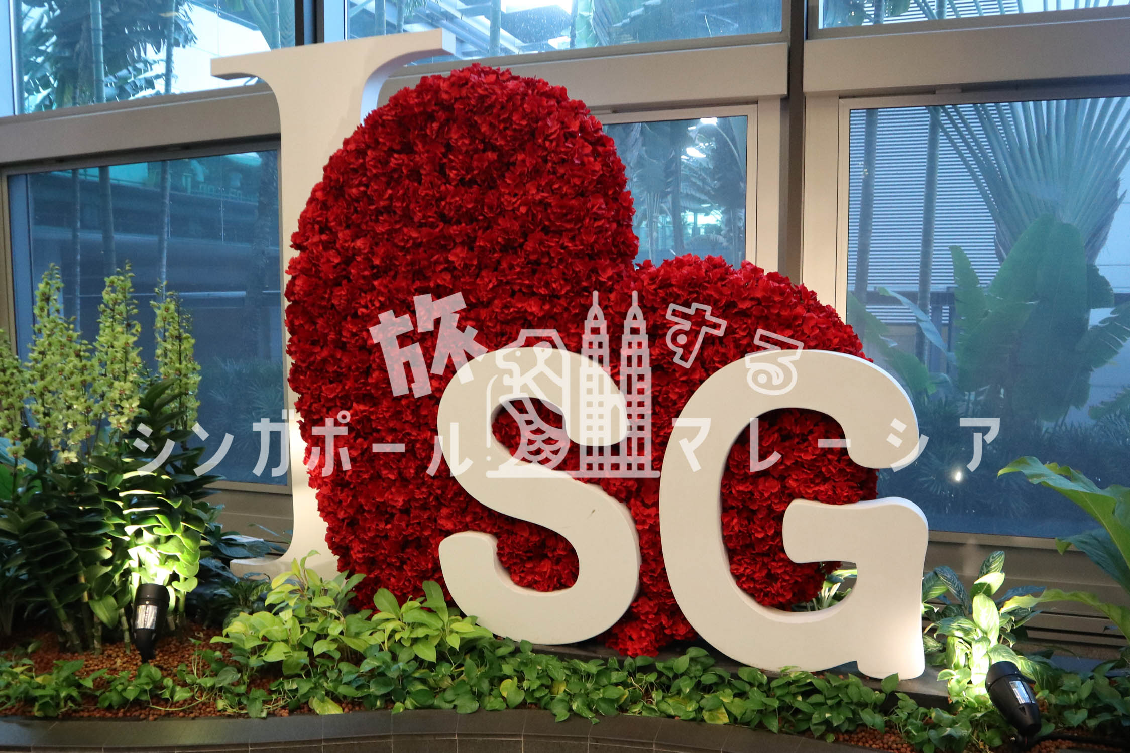 シンガポール・チャンギ国際空港(SIN)をスムーズに使うポイントまとめ