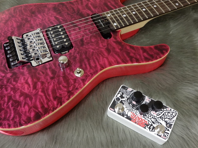 小林信一モデル EF-DD/BLK-LTD入荷！｜島村楽器 イオンモール松本店