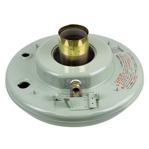 自然大好き！ニッチ・リッチ・キャッチ ブルーフレーム アラジン