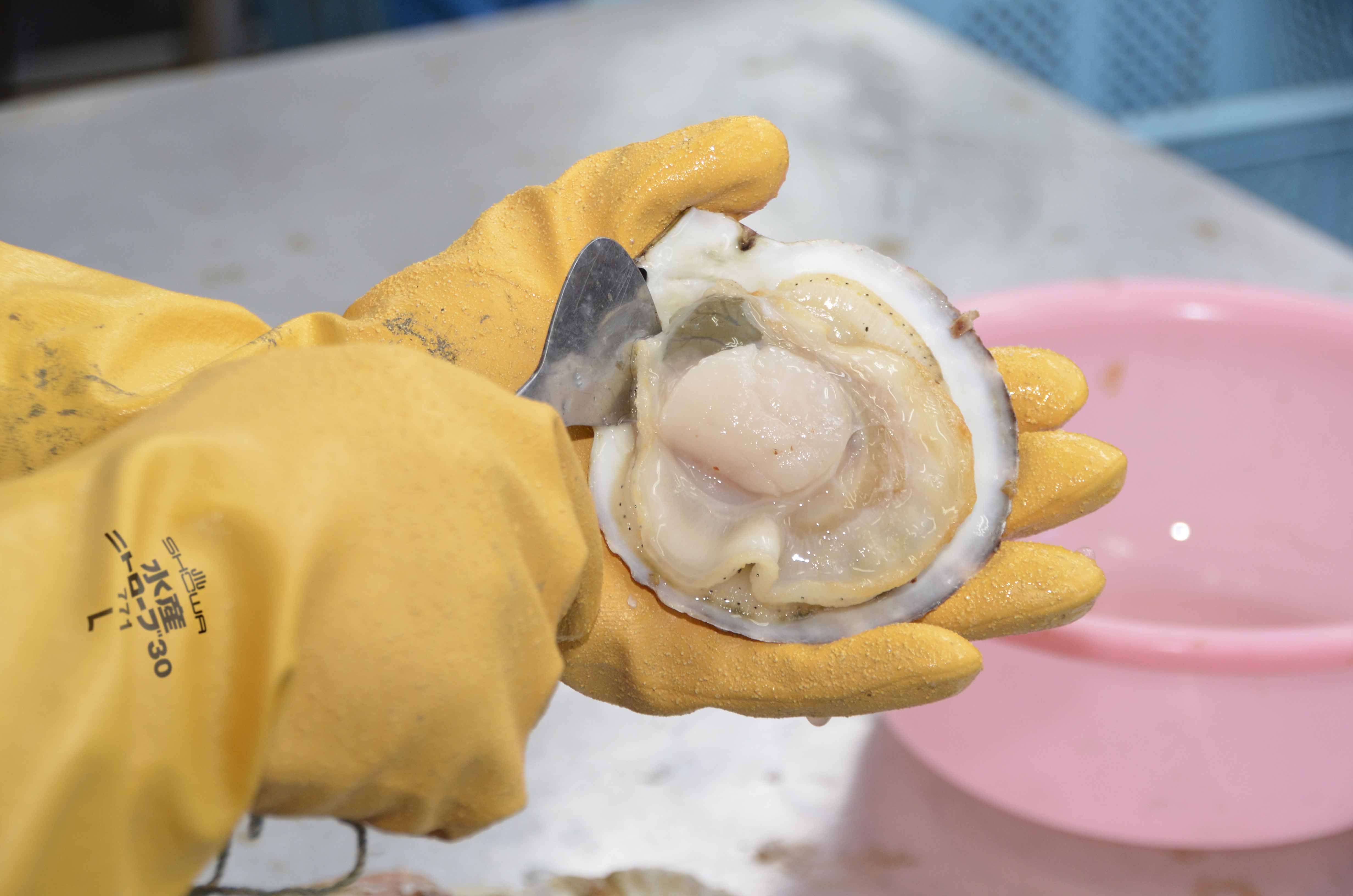 水産ニトローブ30 | SHOWA