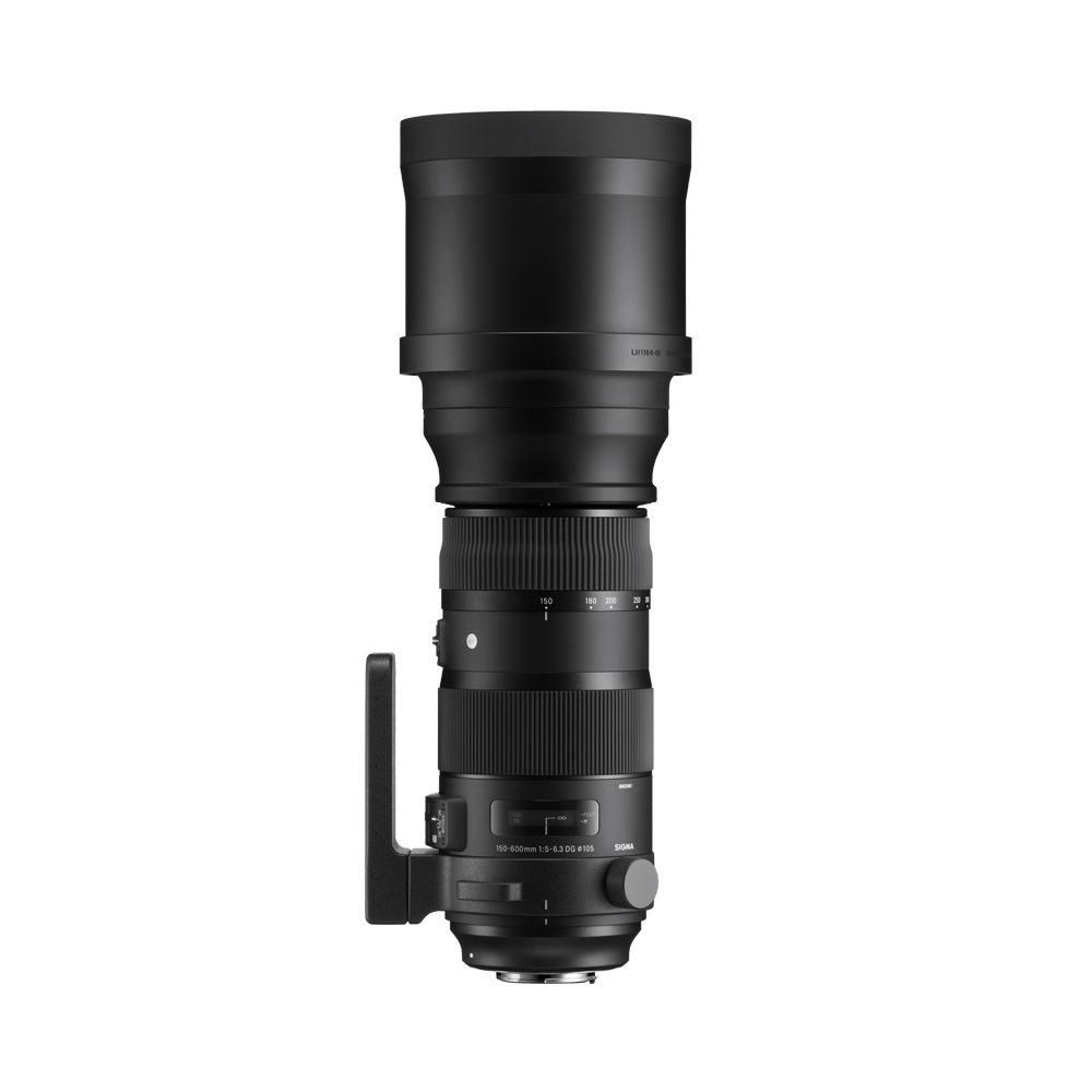 150-600mm F5-6.3 DG OS HSM | LENSES | Sigma