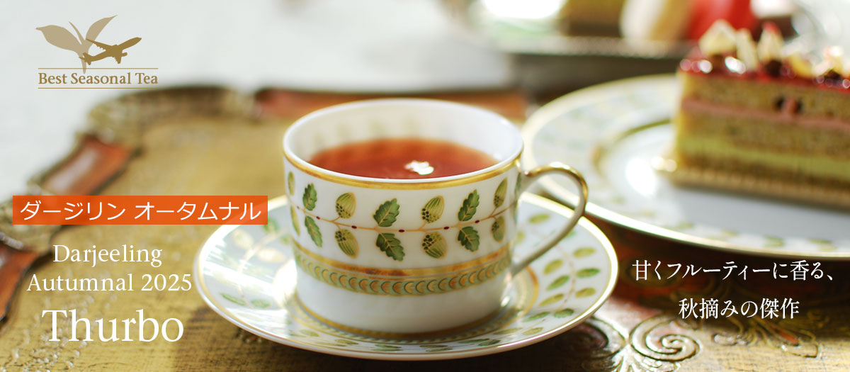 国産紅茶 茶葉 静岡 金谷 セカンドフラッシュ 2023年 井村園