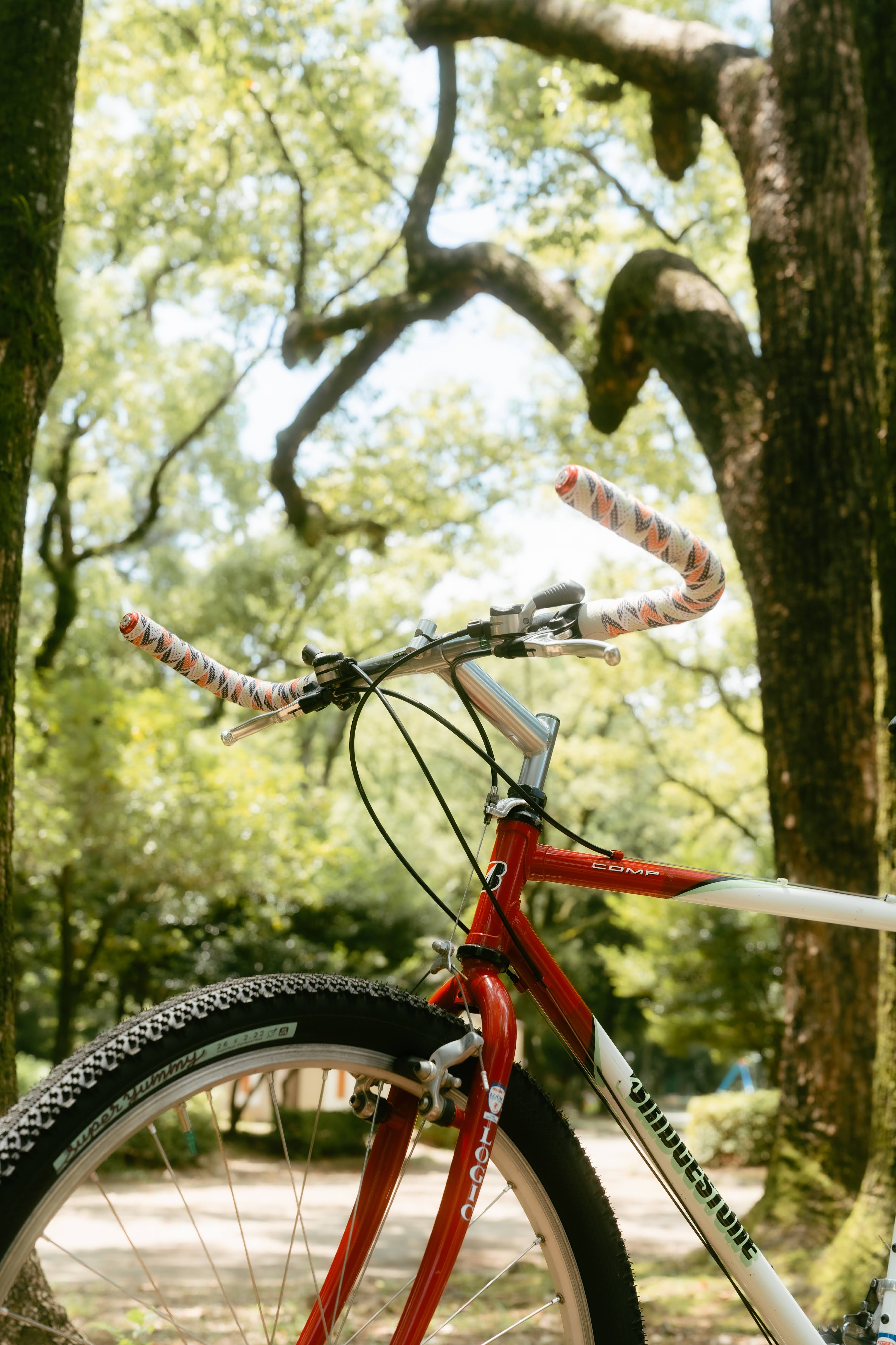 Calsaga Bar – SimWorks USA